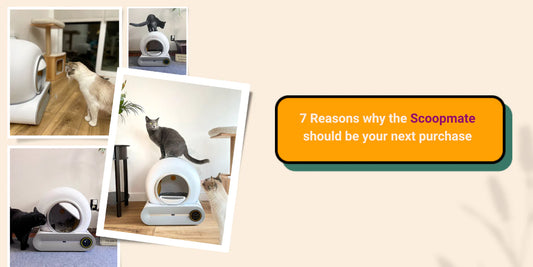 7 Reasons Why the Scoopmate Self-Cleaning Litter Box Should Be Your Next Purchase
