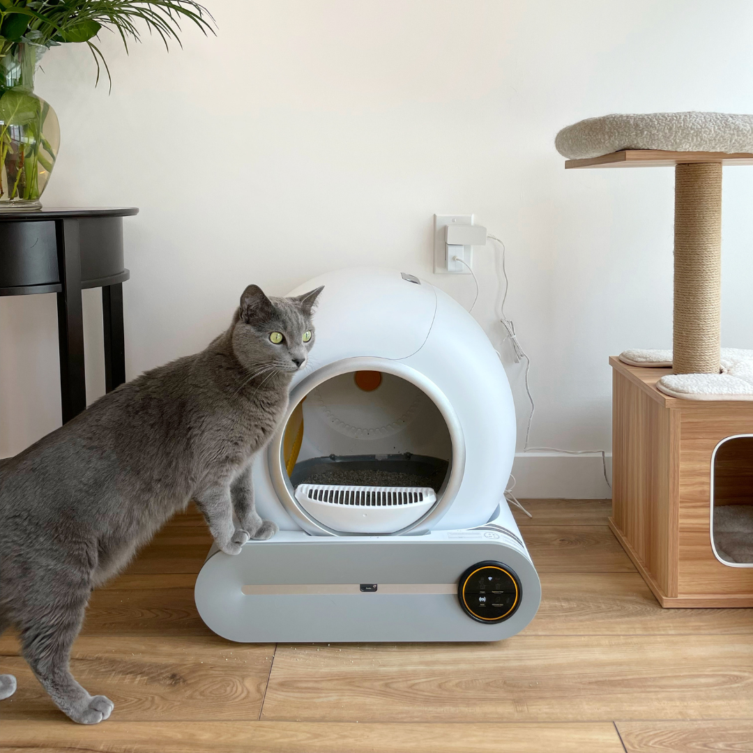 Best Self-Cleaning Litter Box Canada